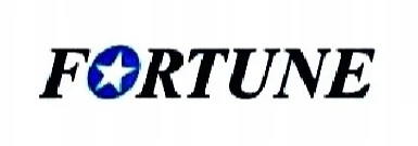Fortune FITCLIME -401 195/65 R15 95 V