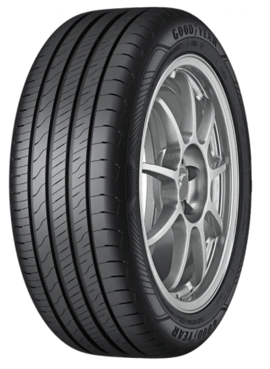 Goodyear EFFICIENTGRIP PERFORMANCE 2 205/55 R19 97 V
